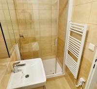 Badezimmer mit Fliesenverkleidung, Duschkabine und Waschbecken in einer Einzimmerwohnung.