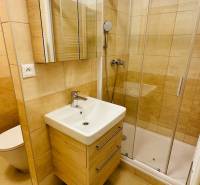 Badezimmer mit Waschbecken, Duschkabine und Fliesen in einer Einzimmerwohnung.