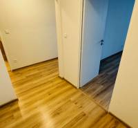 Ein Interieur mit weißen Wänden und einem Boden in Holzoptik in einer Einzimmerwohnung.