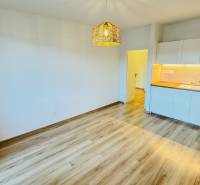 Küche in einer Einzimmerwohnung mit weißen Schränken und einem Boden in Holzoptik.