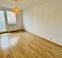 Ein Zimmer in einer Einzimmerwohnung mit einem Boden in Holzoptik und Balkontüren.