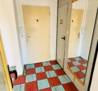 Eingangsbereich in einer Einzimmerwohnung mit buntem Boden und einem Spiegel an der Wand.