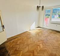 Ein Zimmer mit Holzboden in einer Einzimmerwohnung, großes Fenster, Tür mit Verglasung.