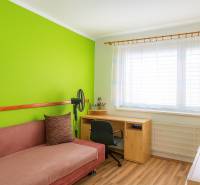 Ein Zimmer mit einer farbigen Wand, einem Sofa, einem Tisch und einem Holzboden in einer 2-Zimmer-Wohnung.