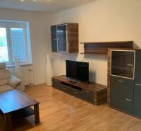 Wohnzimmer in einer 2-Zimmer-Wohnung mit Holzboden und bequemer Couch.