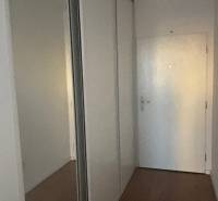 Der Flur in einer 2-Zimmer-Wohnung mit einem großen Schrank und einem Boden in Holzoptik.