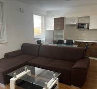 Wohnzimmer mit Küchenzeile, braunem Sofa und Holzboden in einer 2-Zimmer-Wohnung.