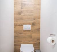 Toilette mit hängendem WC und Boden in Holzoptik in einer 2-Zimmer-Wohnung.