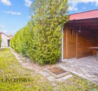 Ein Gartenunterstand hinter dem Einfamilienhaus in Bátorove Kosihy, umgeben von Nadelbäumen.