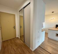 chodba Bory prenájom