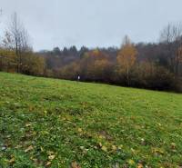 Das Grün auf den Erholungsgrundstücken von Konská in Podhradí mit herbstlichen Bäumen im Hintergrund.