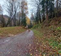 Herbstlicher Waldweg auf den Erholungsgrundstücken in der Konská-Straße in Podhradí.