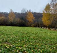 Herbstlandschaft auf den Erholungsgrundstücken in Podhradí, Konské, umgeben von Bäumen mit gelben Blättern.