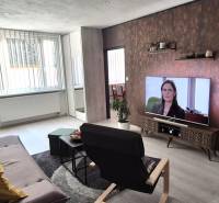 Wohnzimmer in einer Zweizimmerwohnung mit Sofa und Fernseher, Boden mit Holzdekor.