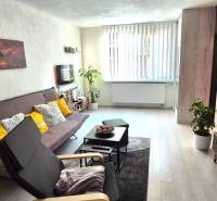 Wohnzimmer in einer 2-Zimmer-Wohnung mit Sofa, Sessel und Holzboden.