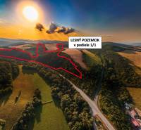 Landwirtschaftliche und forstwirtschaftliche Flächen bei Rokycany bei Sonnenuntergang, umgeben von Grün und Feldern.