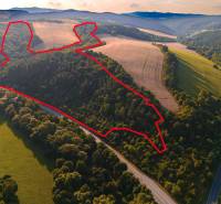 Landwirtschaftliche und forstwirtschaftliche Flächen in der Umgebung von Rokycany, eingehüllt in frisches Grün und goldene Felder.