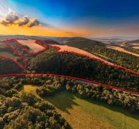 Sonniger Blick auf landwirtschaftliche und forstwirtschaftliche Flächen in der Umgebung der Stadt Rokycany.
