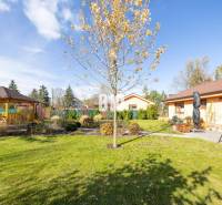 Ein Garten mit Pavillon bei einem Einfamilienhaus in Bílkova Humence, umgeben von Grün.