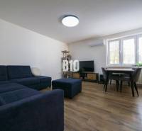 Wohnzimmer in einer 3-Zimmer-Wohnung mit Sofa, Fernseher und Holzboden.