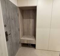 Eingangsflur mit Schränken und Kleiderhaken in einer 2-Zimmer-Wohnung, Holzimitation auf den Türen.