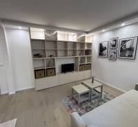 Wohnzimmer in einer Zweizimmerwohnung mit Sofa, Regal und Boden in Holzoptik.