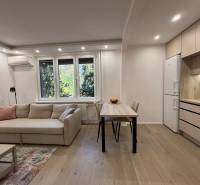 Wohnzimmer mit Sofa, Esstisch und Küche in einer 2-Zimmer-Wohnung.