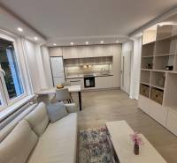 Wohnzimmer mit Küche und Holzboden in einer 2-Zimmer-Wohnung.