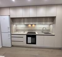 Küchenzeile mit Holzdekor und eingebauten Geräten in einer 2-Zimmer-Wohnung.