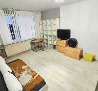 Gemütliches Wohnzimmer in einer 2-Zimmer-Wohnung mit Holzboden und Möbeln.