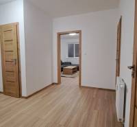 Flur in einer 2-Zimmer-Wohnung mit einem Boden in Holzoptik und Holztüren.