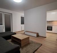 Wohnzimmer in einer Zweizimmerwohnung mit Holzboden und einfacher Einrichtung.