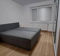 Schlafzimmer in einer 2-Zimmer-Wohnung mit Holzboden und großem Bett.