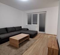 Wohnzimmer mit dunklem Sofa, Couchtisch und Holzboden in einer Zweizimmerwohnung.