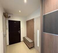 Eingangshalle einer 3-Zimmer-Wohnung mit Schrank und Garderobe, helle Umgebung.