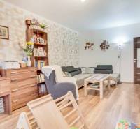 Wohnzimmer in einer 3-Zimmer-Wohnung mit Holzboden, bequemer Couch und Dekorationen.