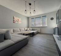 Wohnzimmer in einer 3-Zimmer-Wohnung mit einem Sofa und einem Boden in Holzoptik.