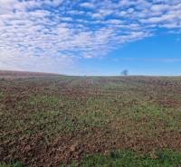 Ebene mit jungem Grün, blauer Himmel mit Wolken, Landschaft bei Bojná.