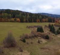 Herbst auf den Erholungsgrundstücken in Lazy pod Makytou-Čertov mit Wald im Hintergrund.