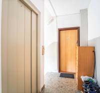 Innenraum mit Aufzug, Eingangstür, Schuhschrank in einer 3-Zimmer-Wohnung.