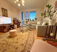 Wohnzimmer in einer 3-Zimmer-Wohnung mit angenehmer Beleuchtung, Holzboden und bequemer Couch.