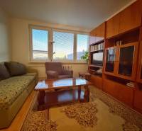 Wohnzimmer mit Sofa, Sessel, Holzmöbeln und Boden mit Holzdekor in einer 3-Zimmer-Wohnung.