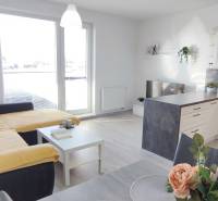 Innenraum einer 2-Zimmer-Wohnung mit Küche, Sofa und Holzboden.