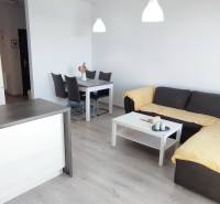 Wohnzimmer in einer 2-Zimmer-Wohnung mit Küche, Sofa und Esstisch, Boden mit Holzdekor.