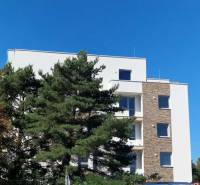 Das Gebäude in der Športová-Straße in Galanta, umgeben von Bäumen, mit klarem Himmel im Hintergrund.