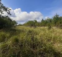Verwilderte Erholungsgrundstücke, umgeben von Bäumen in Horné Jabloňovce, Jabloňovce, unter blauem Himmel.