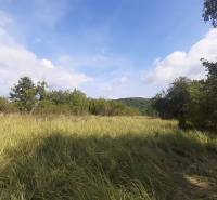 Grasgrundstück auf den Erholungsgrundstücken in Jabloňovce, Horné Jabloňovce, umgeben von Bäumen.