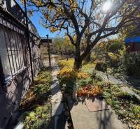 Gärten in der Mittelstraße in Bratislava – Ružinov mit Gehweg und Bäumen.