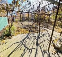 Gärten in der Mittelstraße in Bratislava - Ružinov mit heruntergefallenem Weinlaub.