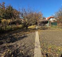 Herbstgarten in der Mittelstraße in Bratislava-Ružinov mit einem Gehweg und Bäumen.